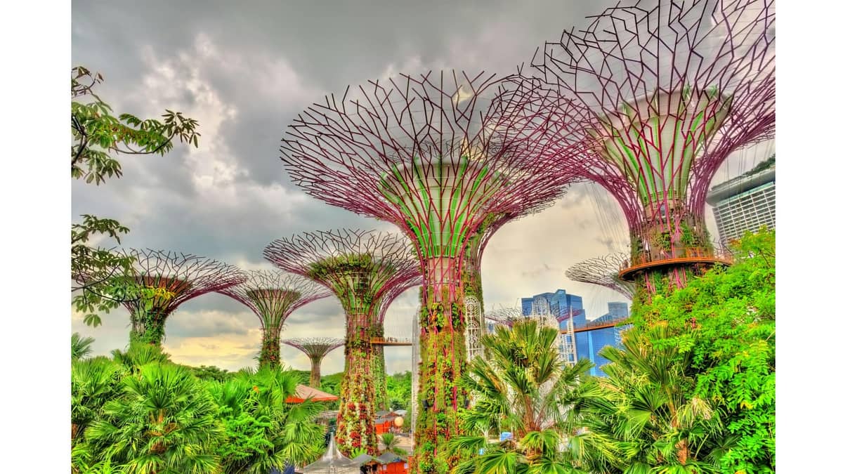 Gardens by the Bay